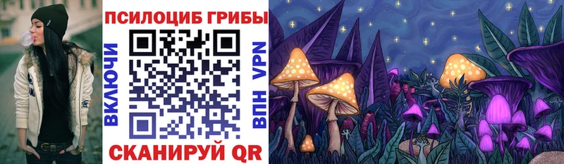 Псилоцибиновые грибы Psilocybine cubensis  Ленск 